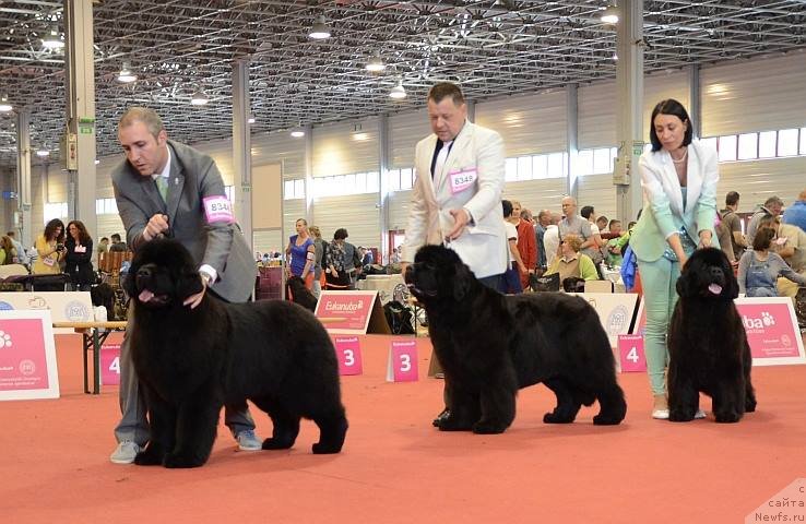 Фотография № 127610