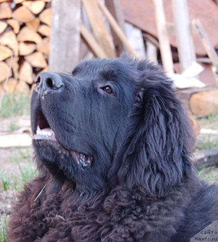 Фотография № 12762