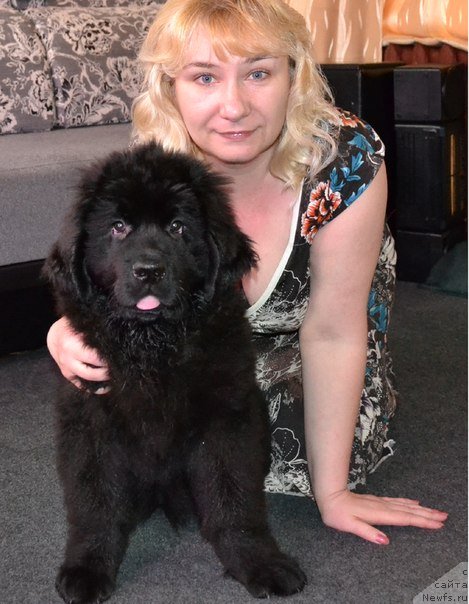 Фотография № 127672