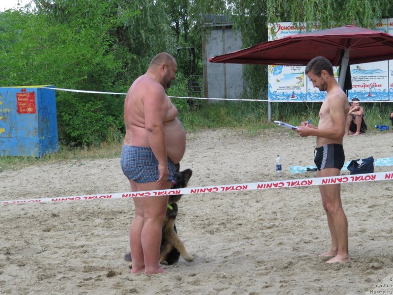 Фото: YUriy Malev (Юрий Малев), Aleksandr Hijnyak (Александр Хижняк), Гаврюшка