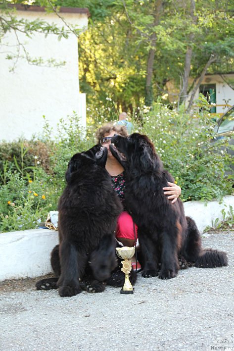 Фото: ньюфаундленд Sentyabrina s Berega Dona (Сентябрина с Берега Дона), ньюфаундленд Zvezdnij Dar Afina dlja Berega Dona (Звездный Дар Афина для Берега Дона), и я, Natal'ya Tatarinova (Наталья Татаринова)