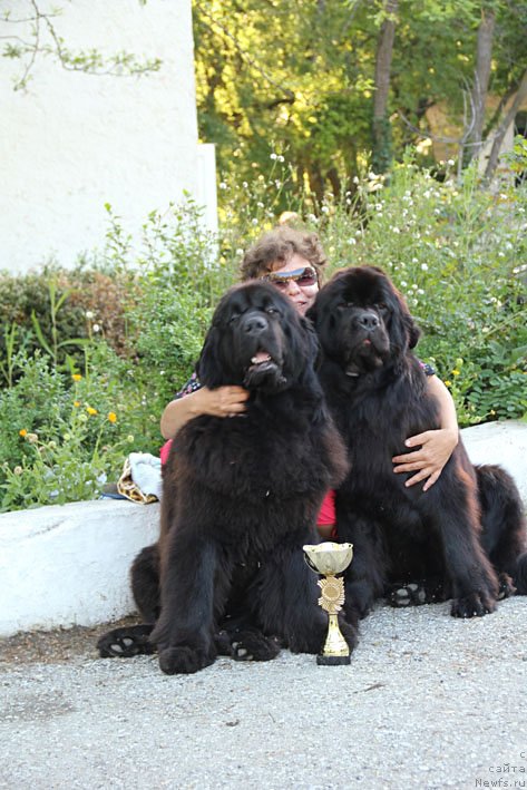 Фото: ньюфаундленд Sentyabrina s Berega Dona (Сентябрина с Берега Дона), ньюфаундленд Zvezdnij Dar Afina dlja Berega Dona (Звездный Дар Афина для Берега Дона), и я, Natal'ya Tatarinova (Наталья Татаринова)
