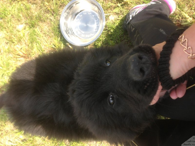 Фото: ID: [d12479], http://d12479.newfs.ru/