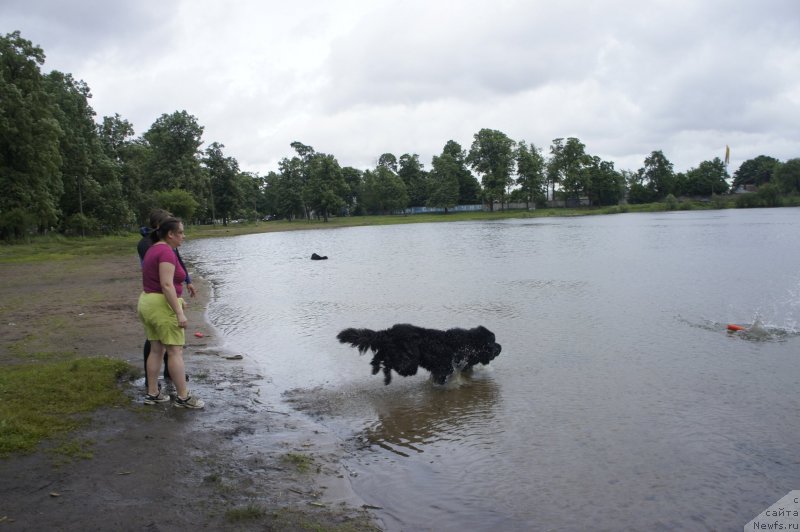 Фотография № 127716