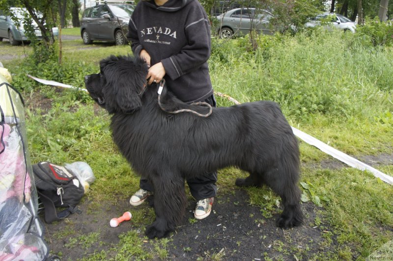 Фотография № 127718