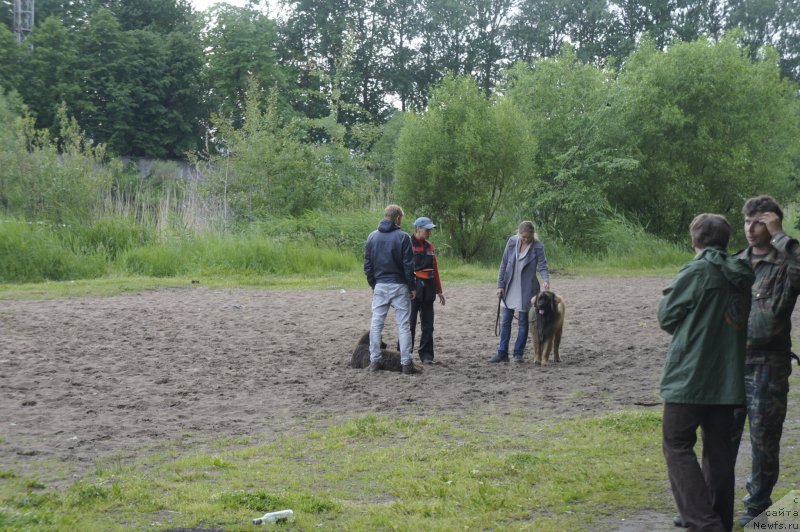 Фотография № 127719