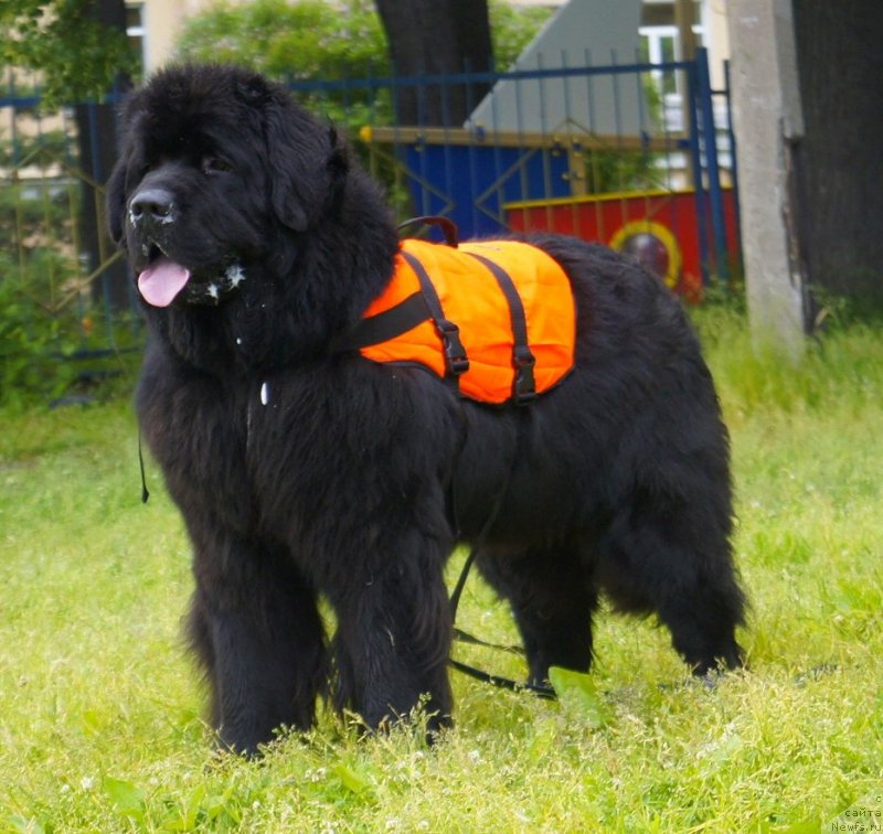 Фотография № 127720