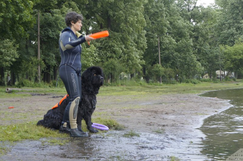 Фотография № 127727