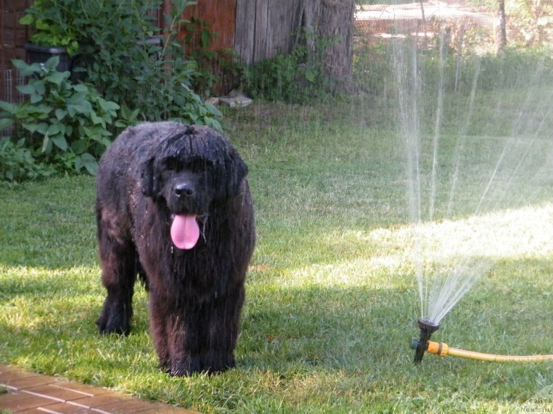 Фотография № 127747