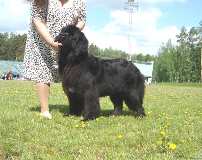 Фотография № 127768