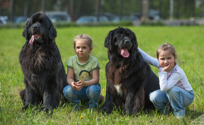 Фотография № 127792