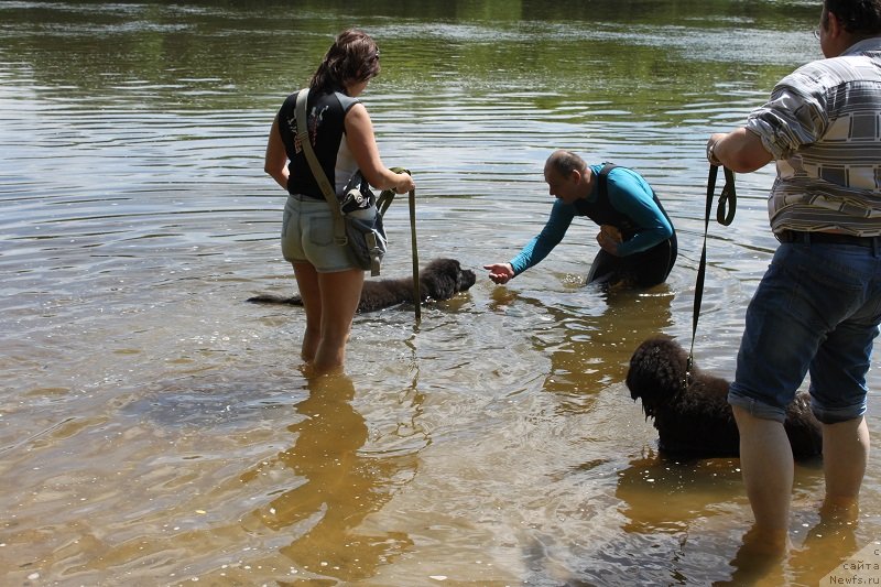 Фотография № 127827