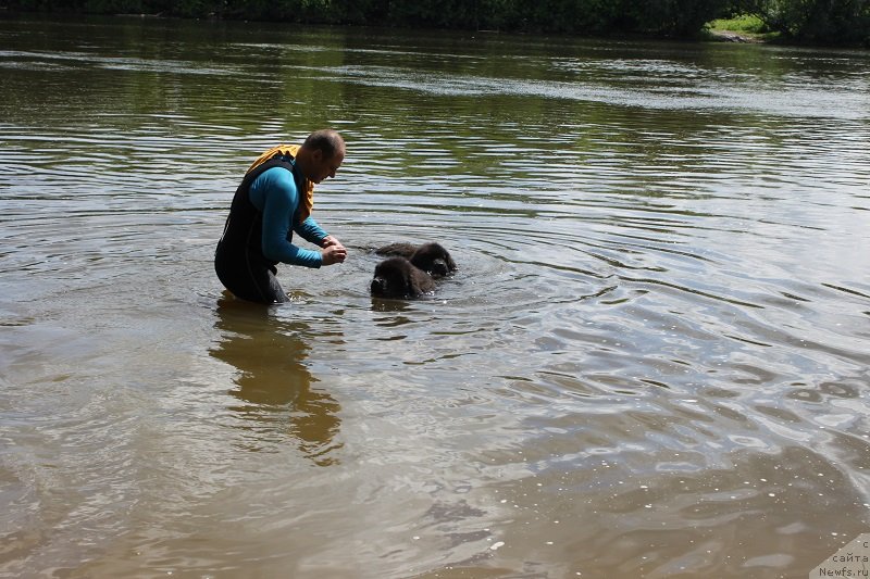 Фотография № 127829