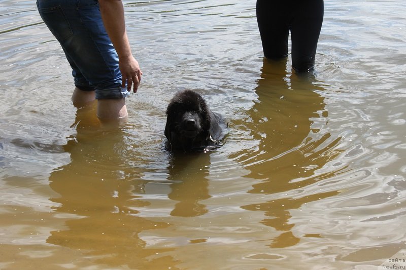 Фотография № 127832