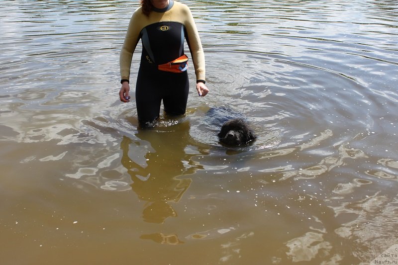 Фотография № 127836