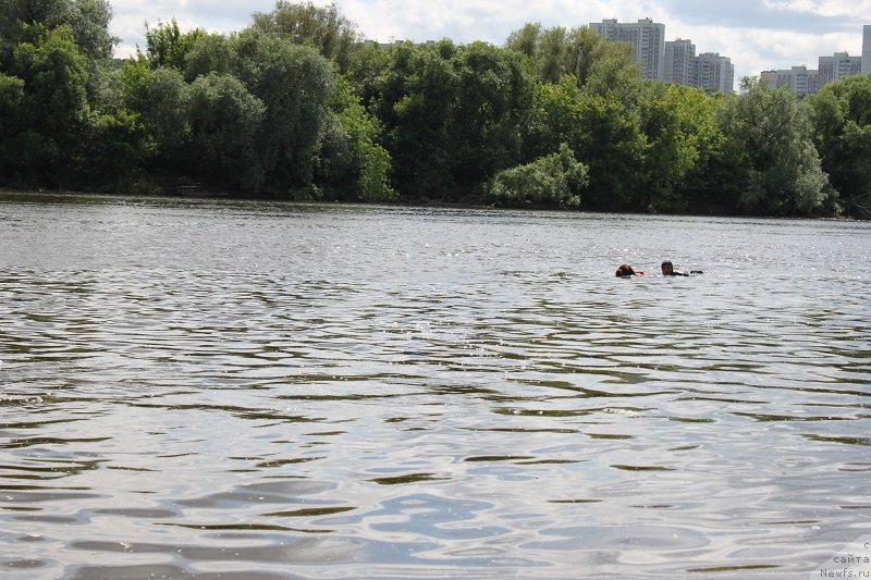 Фотография № 127843