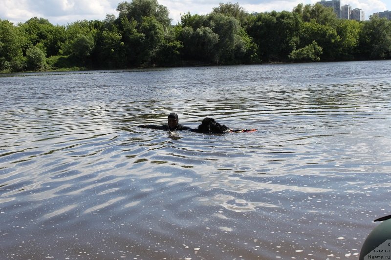 Фотография № 127848