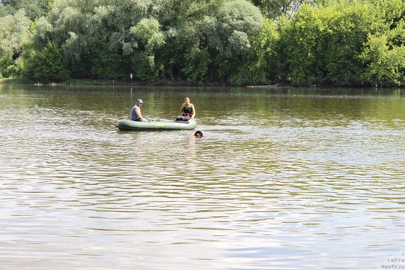 Фотография № 127853