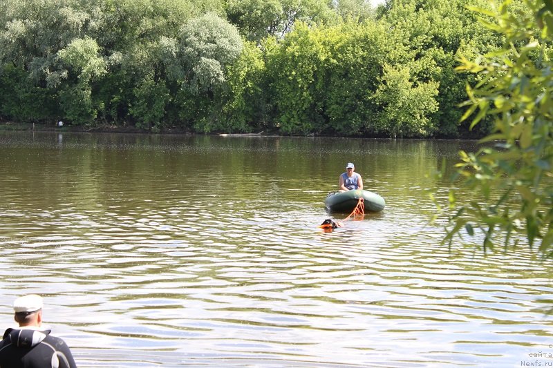 Фотография № 127862