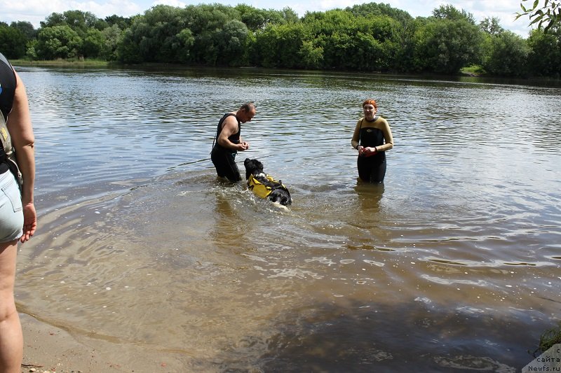 Фотография № 127870