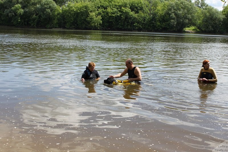 Фотография № 127874