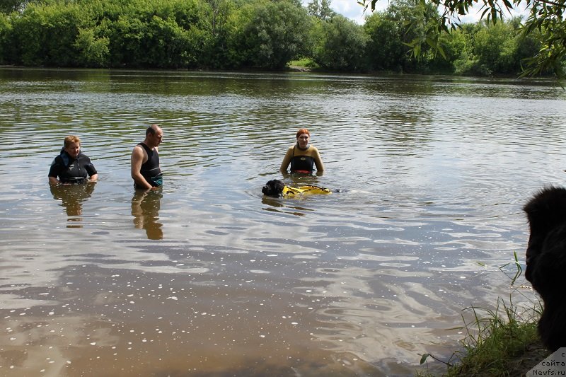 Фотография № 127875