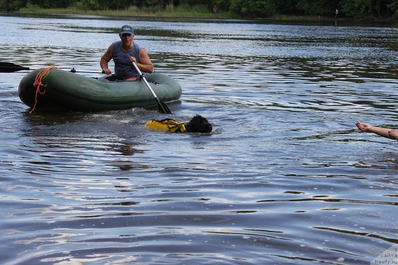 Фотография № 127878