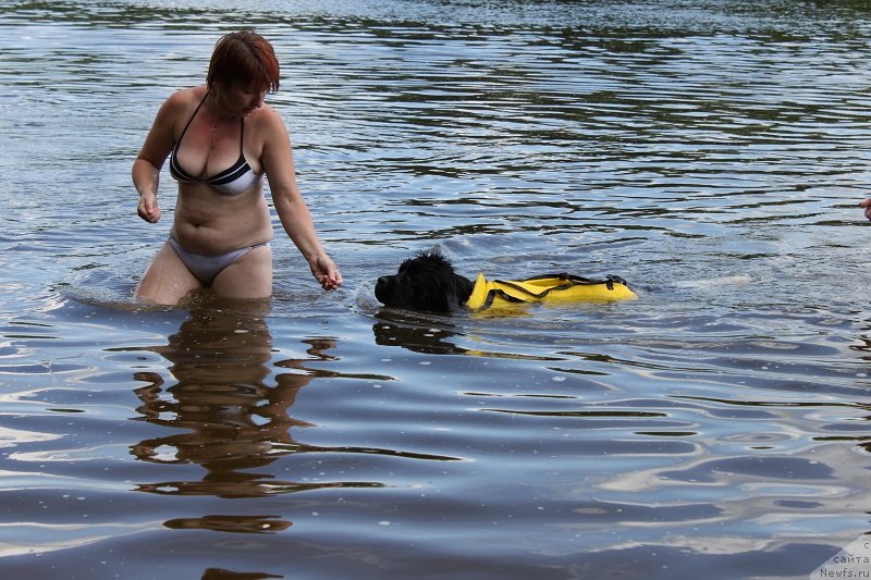 Фотография № 127880