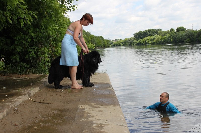 Фотография № 127881