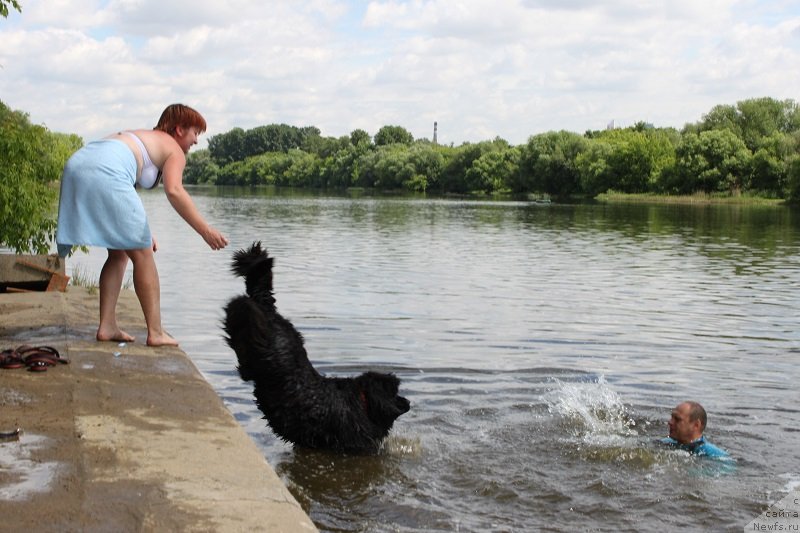 Фотография № 127882