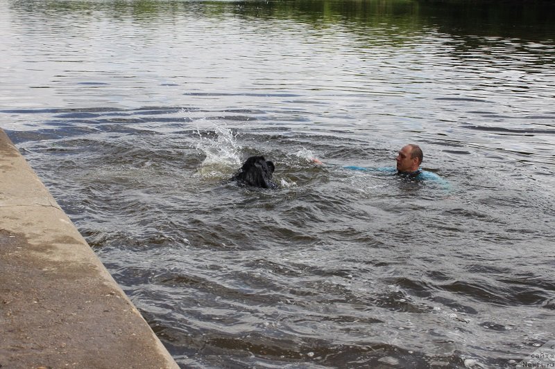 Фотография № 127883