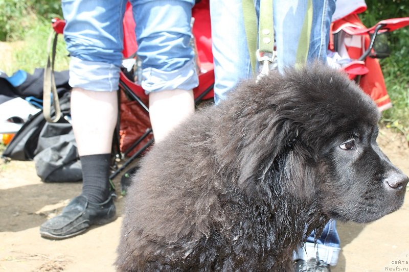 Фотография № 127889