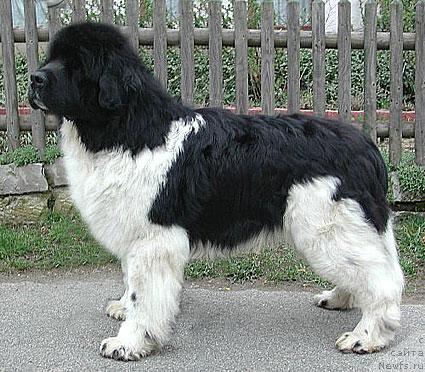 Фотография № 12793