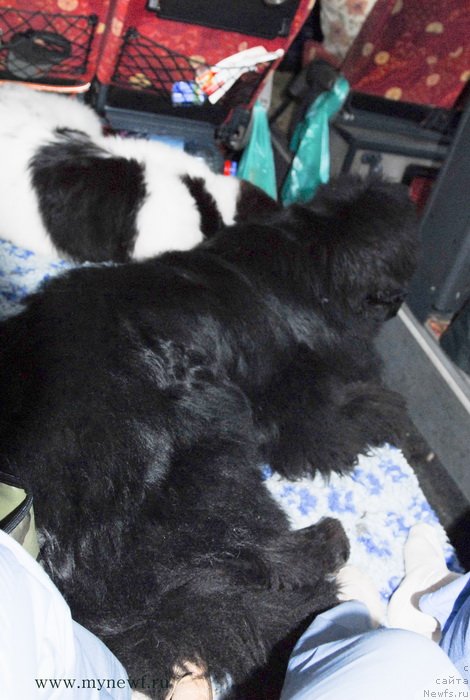 Фотография № 127933