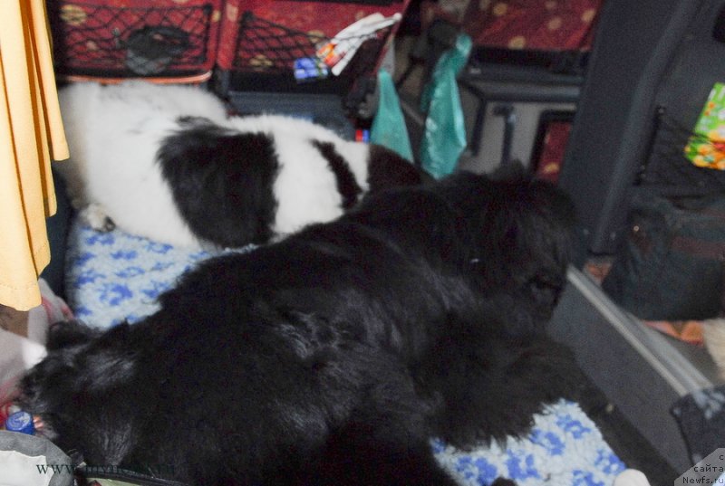 Фотография № 127934