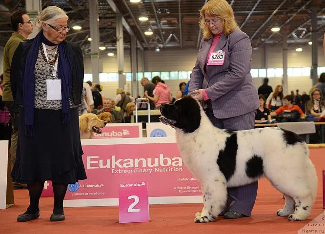 Фотография № 127935