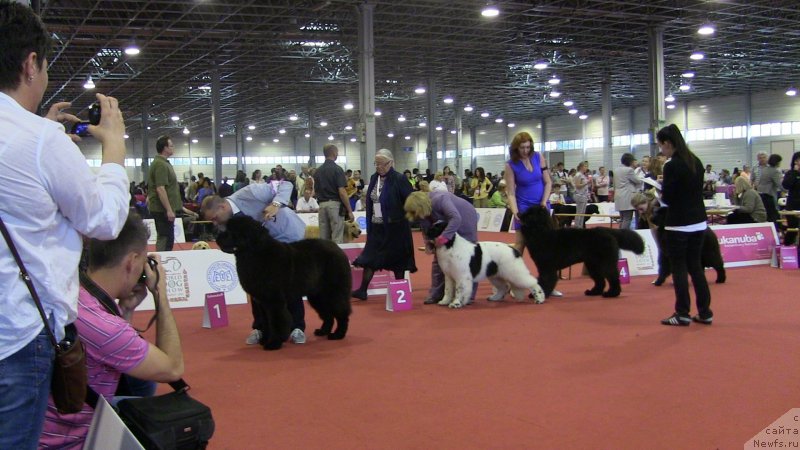 Фотография № 127937