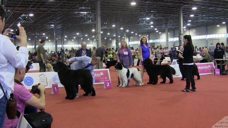 Фотография № 127938