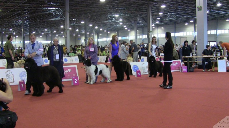 Фотография № 127939