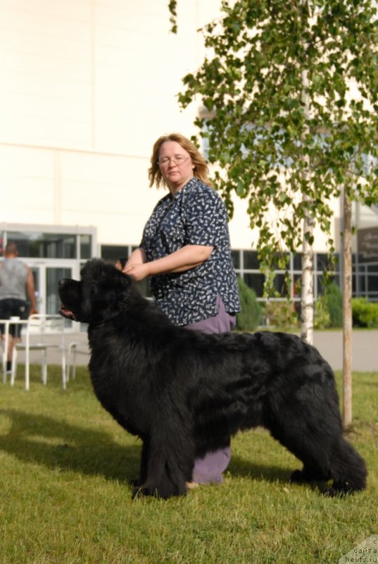 Фотография № 127940