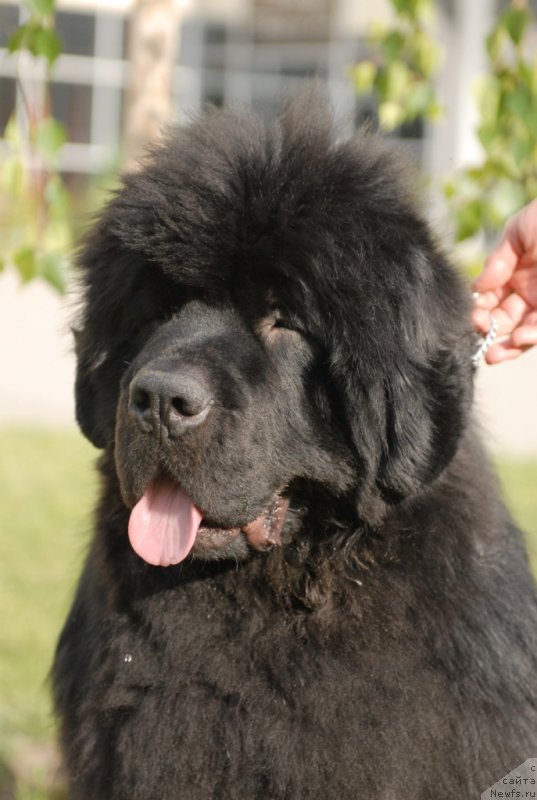 Фотография № 127943