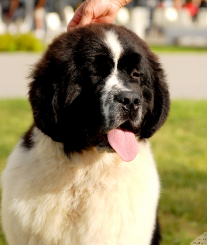 Фотография № 127946