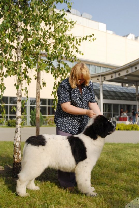 Фотография № 127947