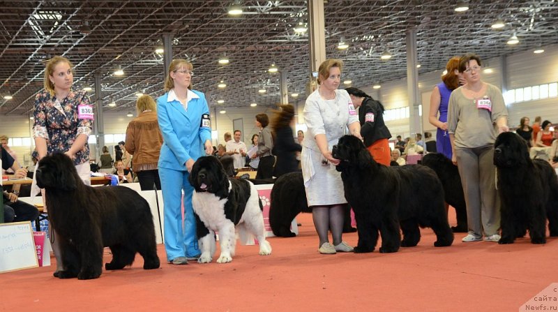 Фотография № 127956