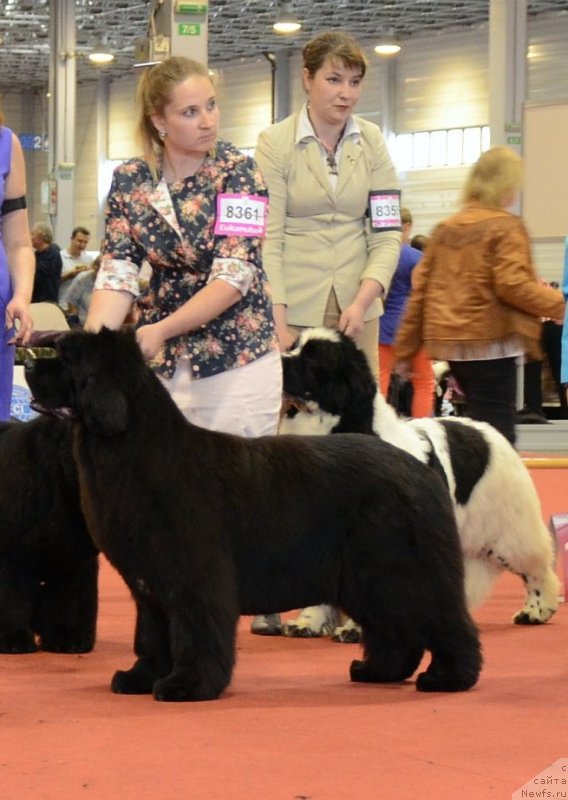 Фотография № 127957