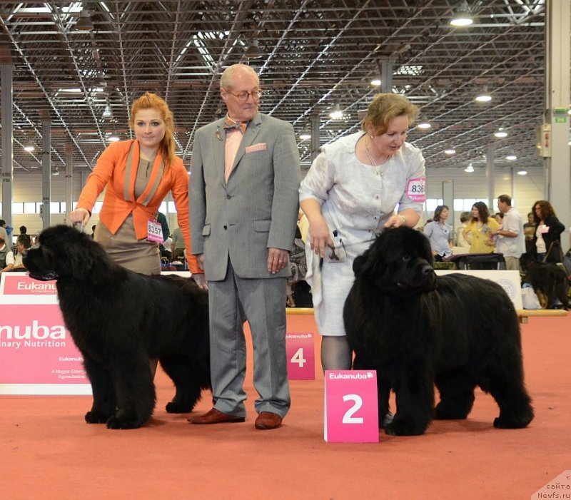 Фотография № 127958