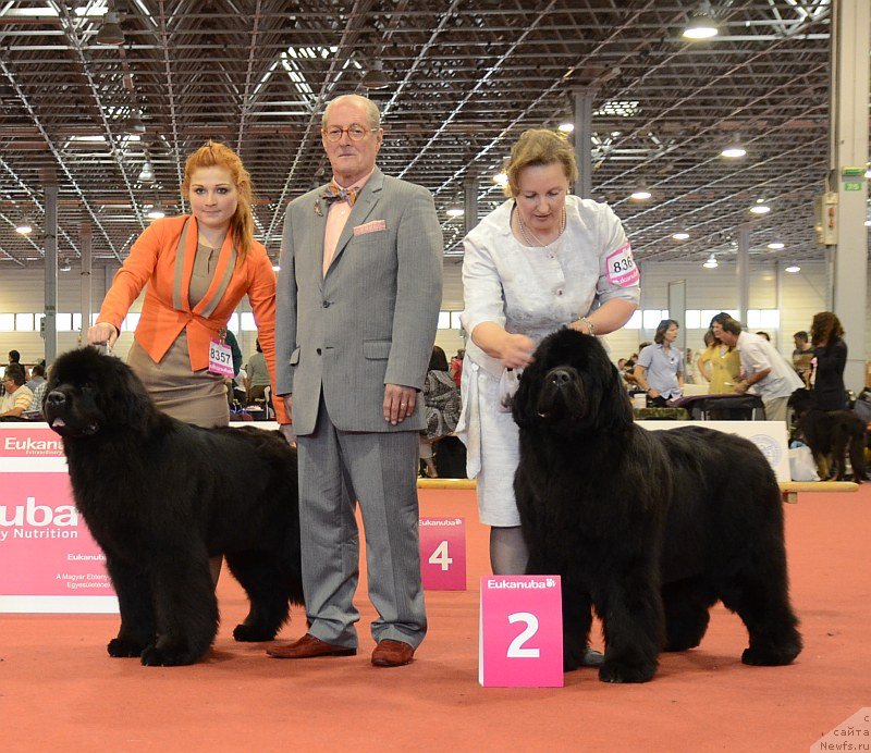 Фотография № 127959