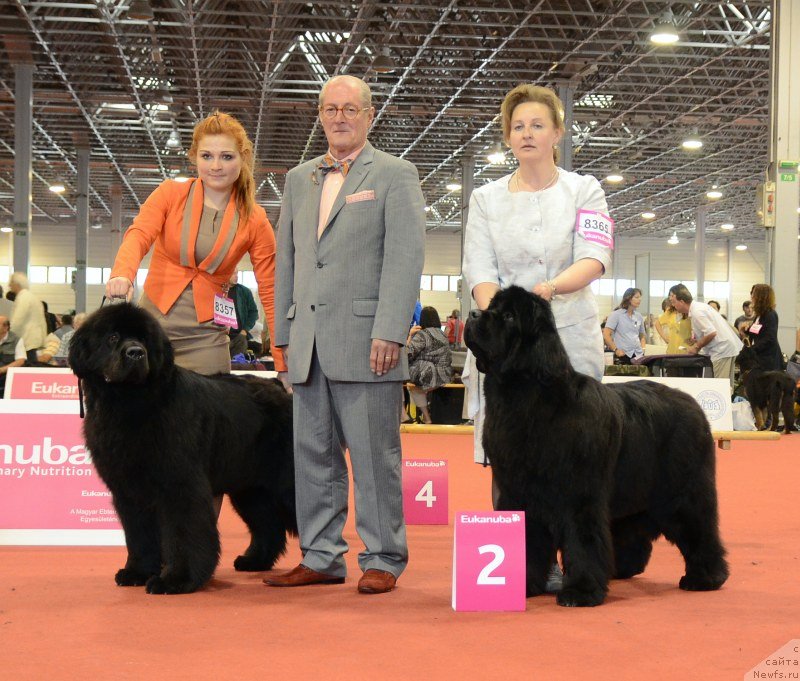 Фотография № 127960