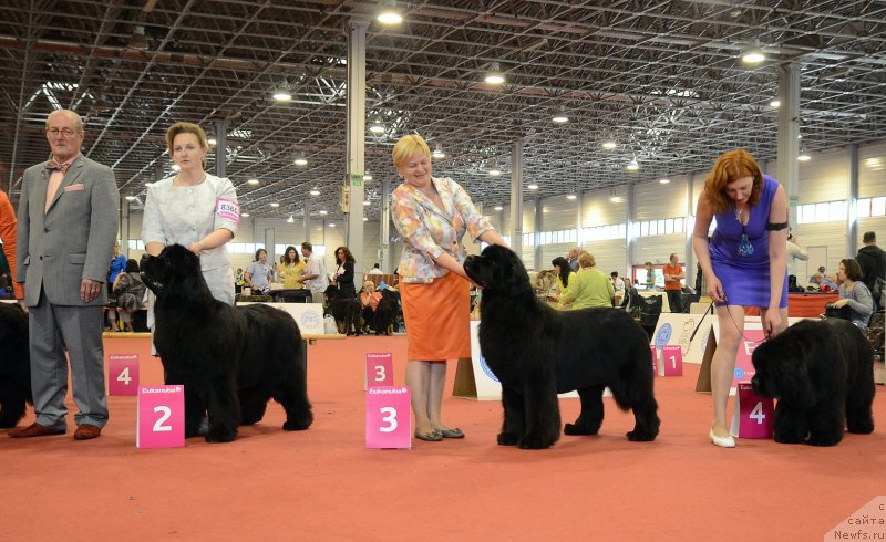 Фотография № 127961