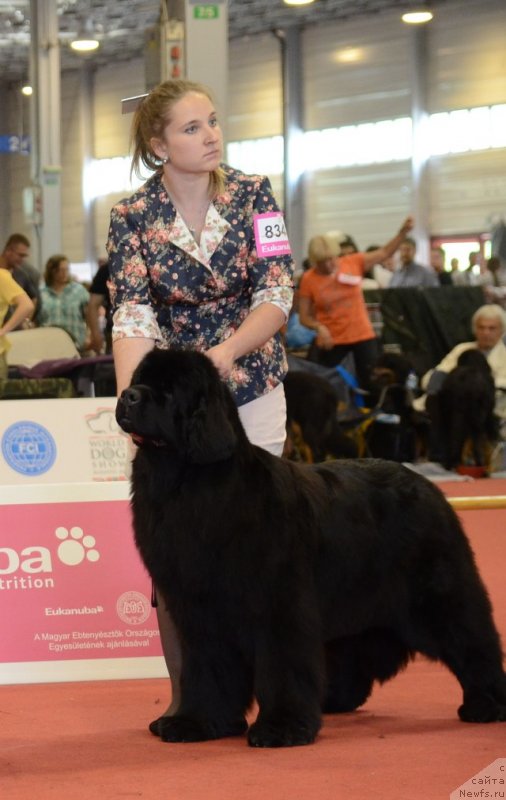 Фотография № 127962